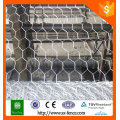 PVC Coated Hexagonal Wire Netting / malha de arame hexagonal / malha de arame de galinha hexagonal